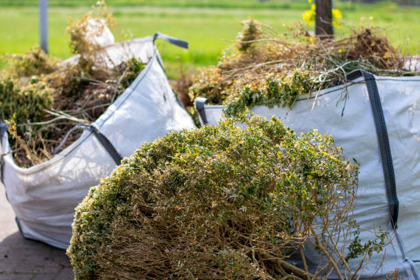 Best Local Junk Hauling  in Burlington, KS